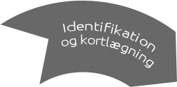 apv identifikation og kortlægning